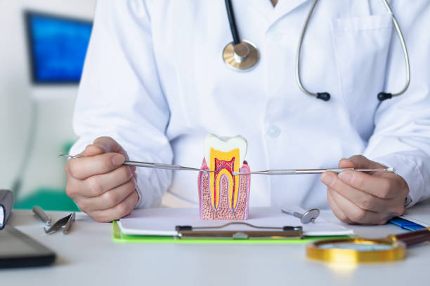 Best Emergency Treatment for Jaw Pain or Injury in Evanston, WY